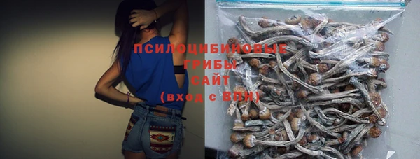 прущие крисы Беломорск