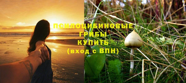 а пвп мука Белокуриха