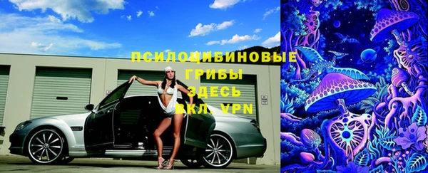 а пвп мука Белокуриха