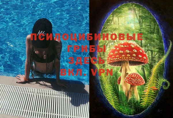 прущие крисы Беломорск